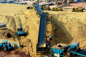 Conveyor systems